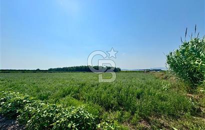 Mersin Akdeniz Evci Mahallesinde 5643 m2 Yatırımlık Arazi