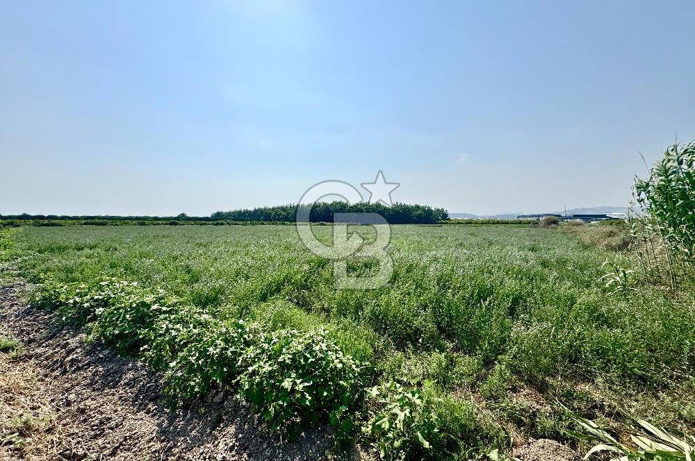 Mersin Akdeniz Evci Mahallesinde 5643 m2 Yatırımlık Arazi