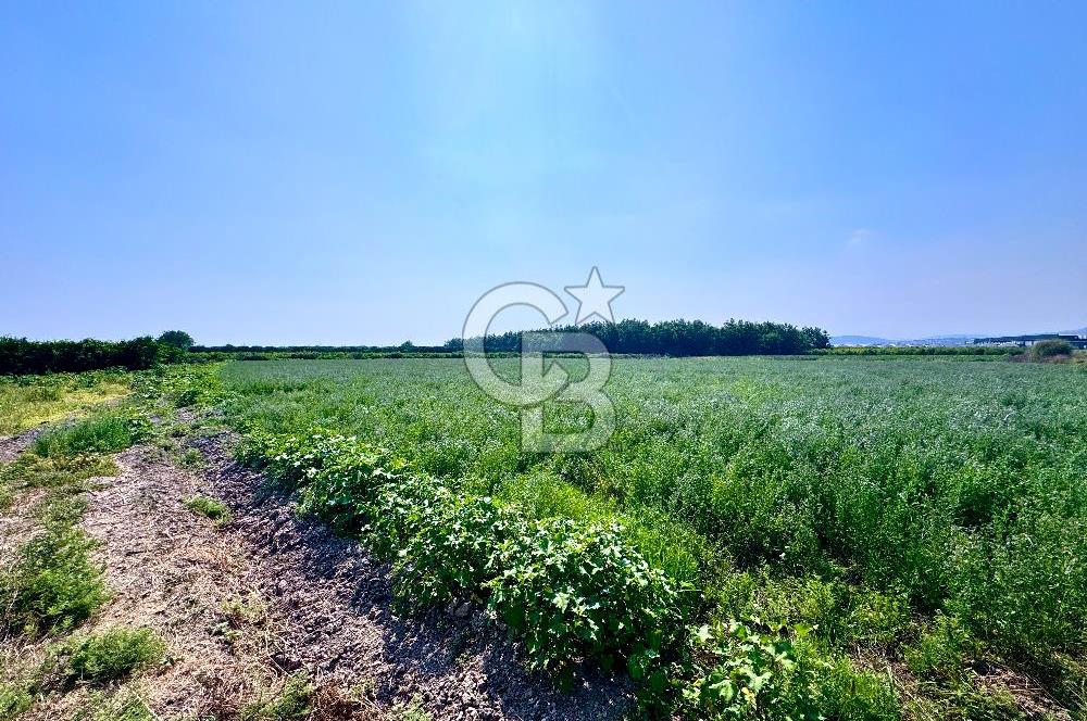 Mersin Akdeniz Evci Mahallesinde 5643 m2 Yatırımlık Arazi