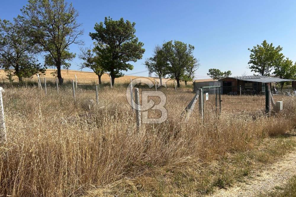 ESKİŞEHİR YOLU ALAGÖZ' YOLA CEPHE 2X400 M2 BİTİŞİK 2 BAHÇE