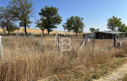 ESKİŞEHİR YOLU ALAGÖZ' YOLA CEPHE 2X400 M2 BİTİŞİK 2 BAHÇE