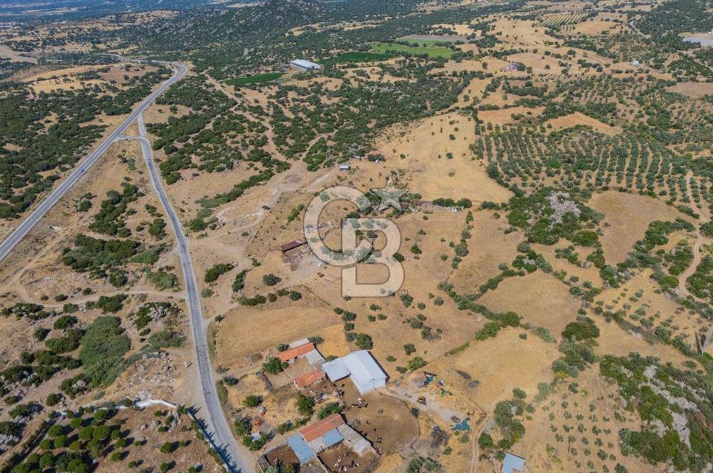 EZİNE KÖRÜKTAŞI'NDA DENİZE 5.5 KM BOZCAADA'YA YAKIN, YATIRIMLIK TARLA