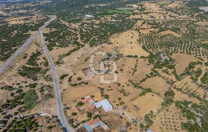 EZİNE KÖRÜKTAŞI'NDA DENİZE 5.5 KM BOZCAADA'YA YAKIN, YATIRIMLIK TARLA