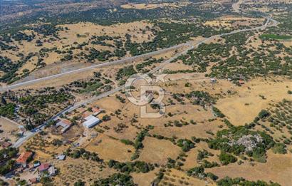 EZİNE KÖRÜKTAŞI'NDA DENİZE 5.5 KM BOZCAADA'YA YAKIN, YATIRIMLIK TARLA