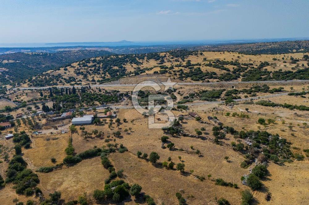 EZİNE KÖRÜKTAŞI'NDA DENİZE 5.5 KM BOZCAADA'YA YAKIN, YATIRIMLIK TARLA