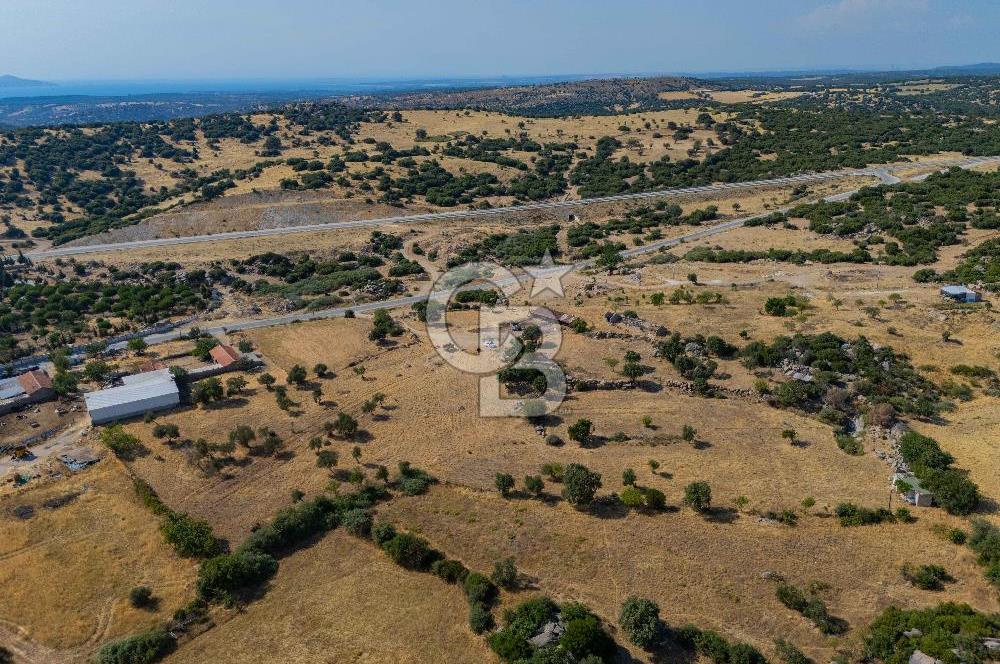 EZİNE KÖRÜKTAŞI'NDA DENİZE 5.5 KM BOZCAADA'YA YAKIN, YATIRIMLIK TARLA