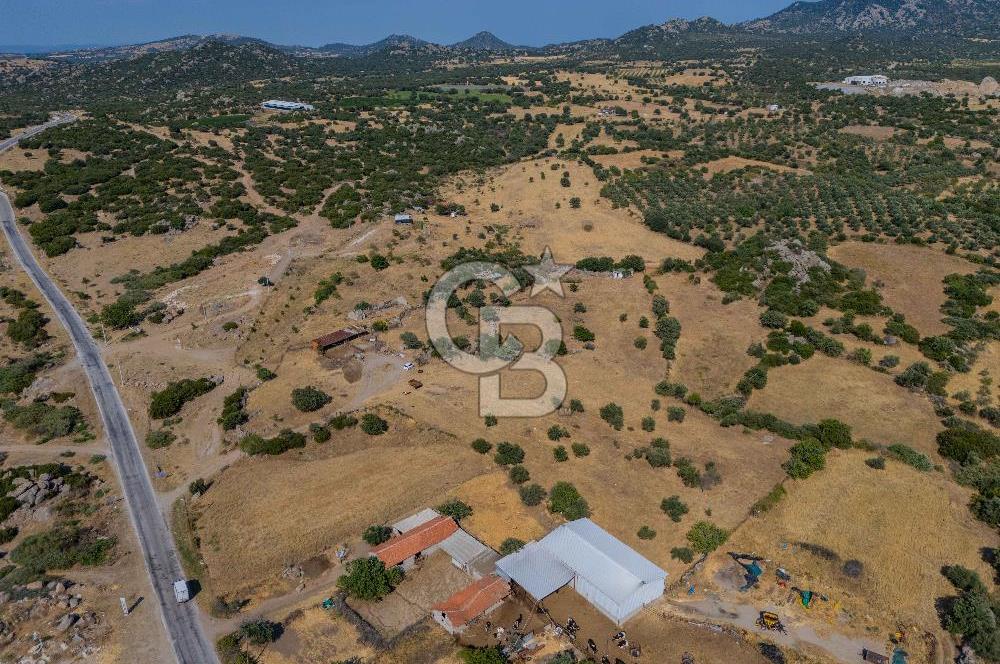 EZİNE KÖRÜKTAŞI'NDA DENİZE 5.5 KM BOZCAADA'YA YAKIN, YATIRIMLIK TARLA
