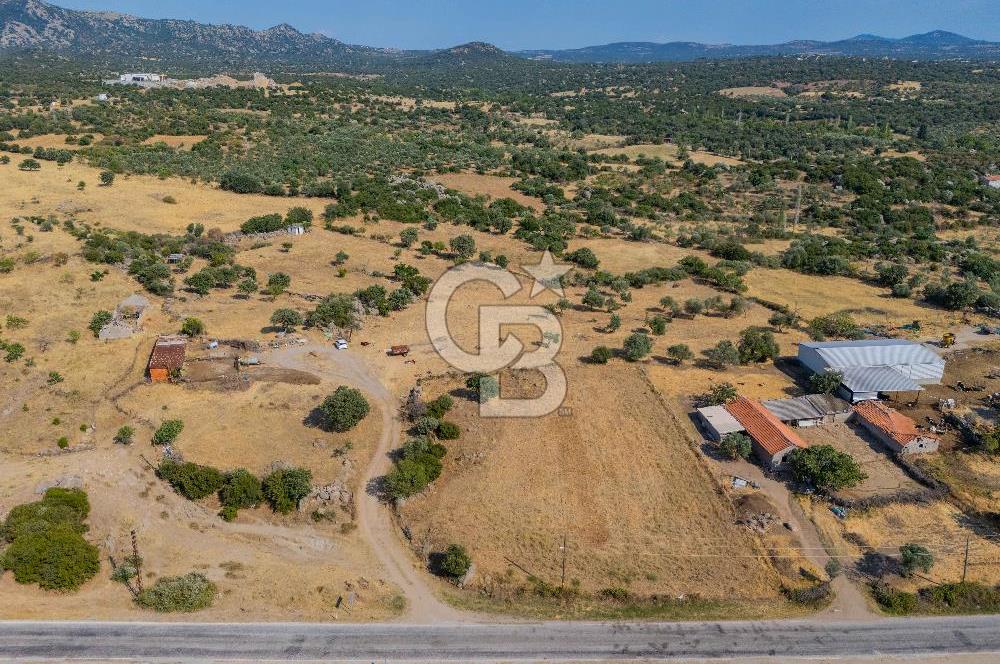 EZİNE KÖRÜKTAŞI'NDA DENİZE 5.5 KM BOZCAADA'YA YAKIN, YATIRIMLIK TARLA