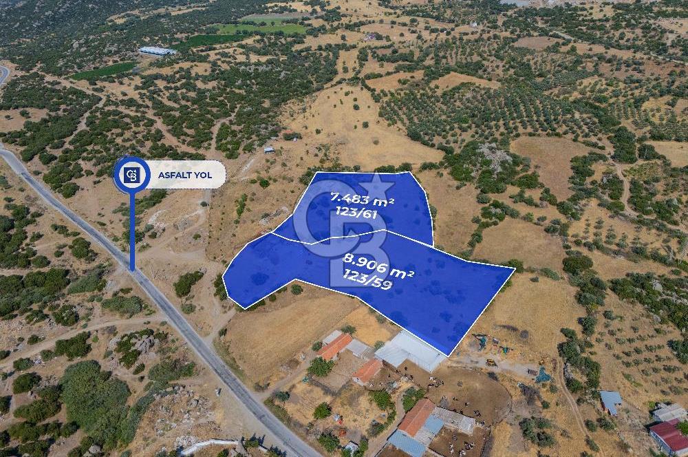 EZİNE KÖRÜKTAŞI'NDA DENİZE 5.5 KM BOZCAADA'YA YAKIN, YATIRIMLIK TARLA