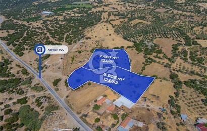 EZİNE KÖRÜKTAŞI'NDA DENİZE 5.5 KM BOZCAADA'YA YAKIN, YATIRIMLIK TARLA
