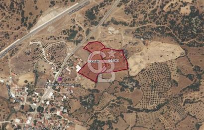 EZİNE KÖRÜKTAŞI'NDA DENİZE 5.5 KM BOZCAADA'YA YAKIN, YATIRIMLIK TARLA