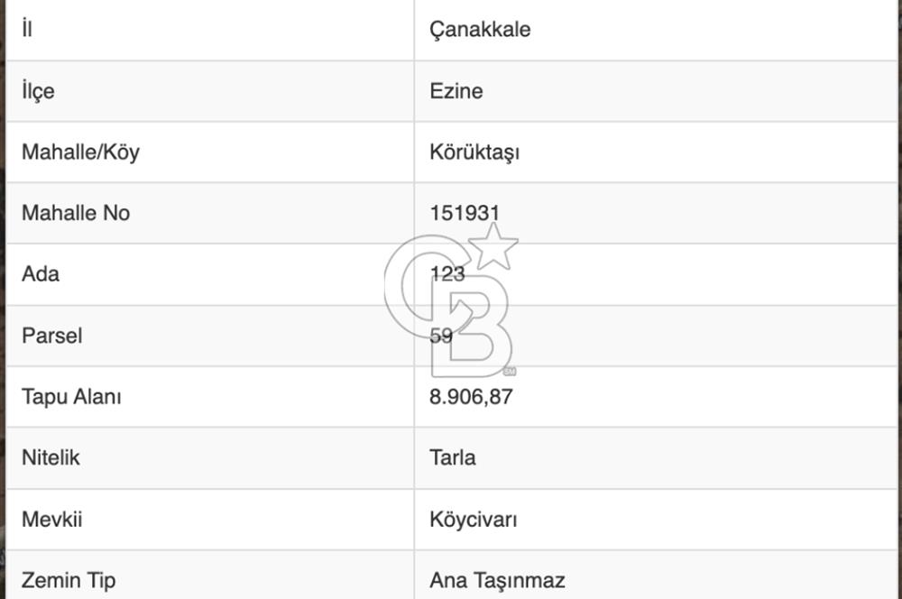 EZİNE KÖRÜKTAŞI'NDA DENİZE 5.5 KM BOZCAADA'YA YAKIN, YATIRIMLIK TARLA