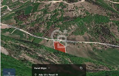 CB AMBIANCE'DAN GEMLİK FINDICAK KÖYÜNDE 8016 M2 TARLA