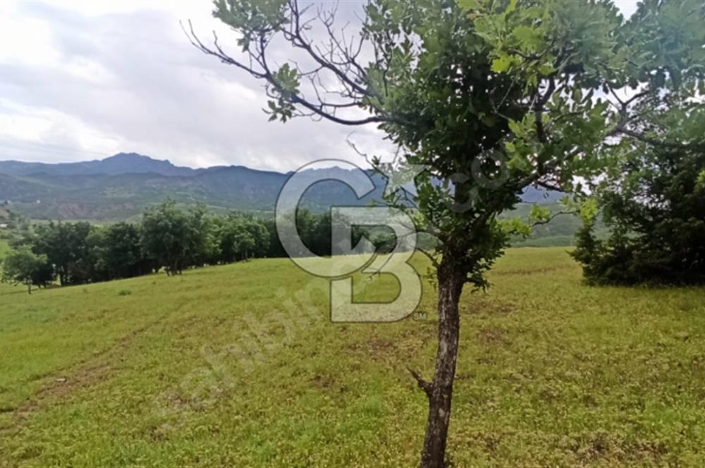 TUNCELİ DE ARSA FIRSATI KAÇIRMAYIN