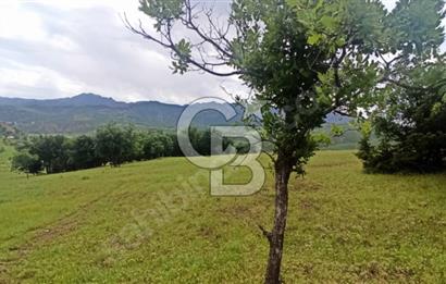 TUNCELİ DE ARSA FIRSATI KAÇIRMAYIN