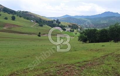 TUNCELİ DE MÜKEMMEL KONUM ARSA FIRSATI