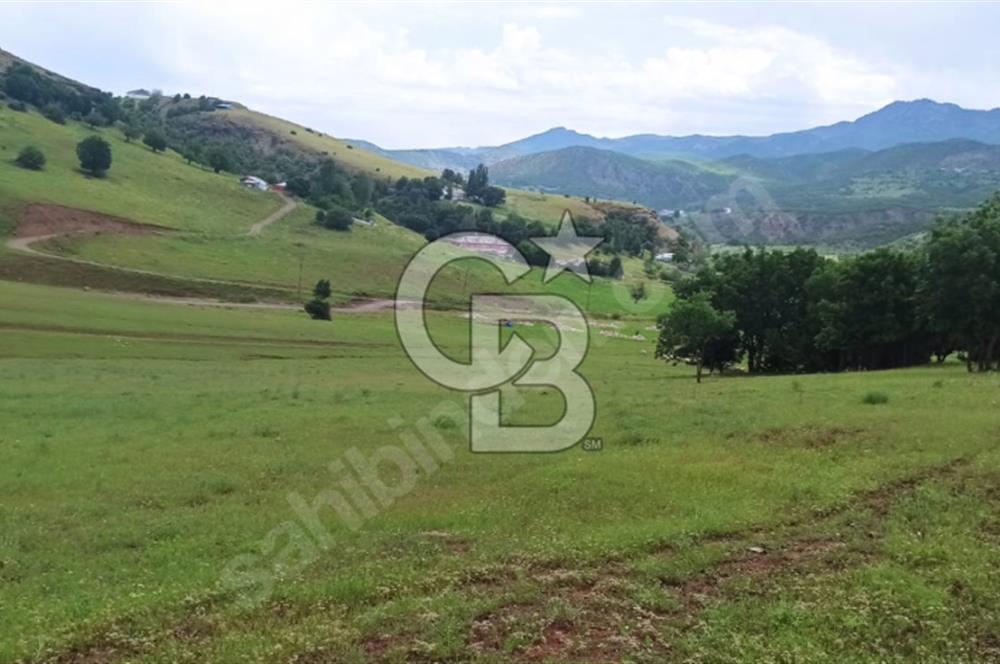TUNCELİ DE ARSA FIRSATI KAÇIRMAYIN