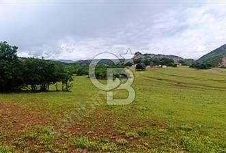 TUNCELİNİN GÖZDESİ ARSA 