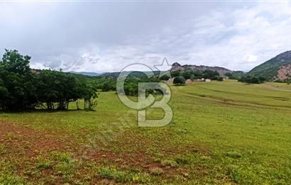 TUNCELİNİN GÖZDESİ ARSA 