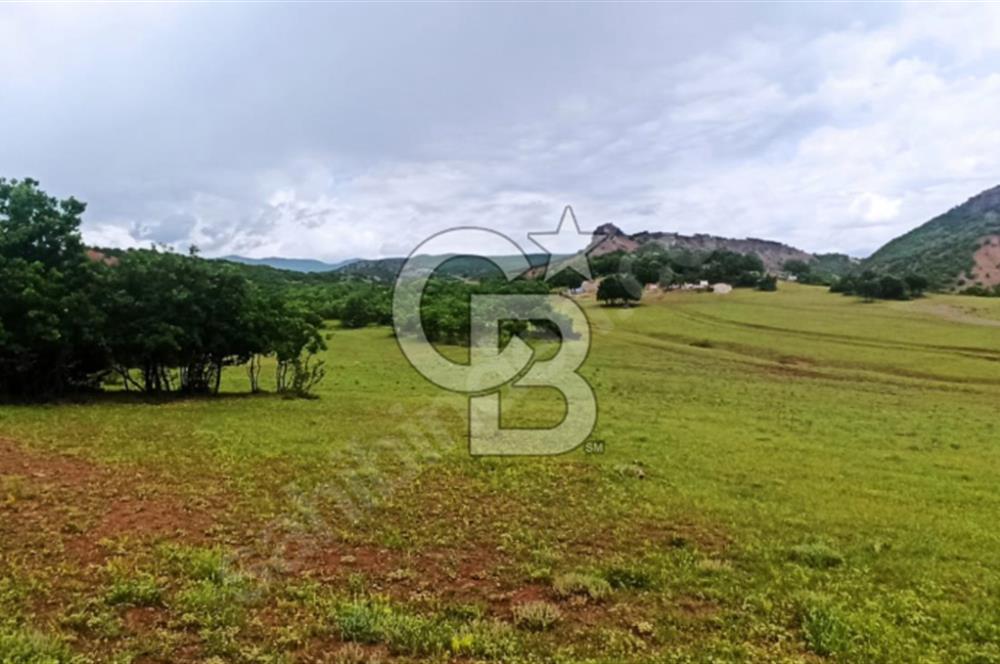 TUNCELİ DE MÜKEMMEL KONUM ARSA FIRSATI