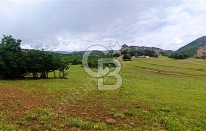 TUNCELİ DE MÜKEMMEL KONUM ARSA FIRSATI