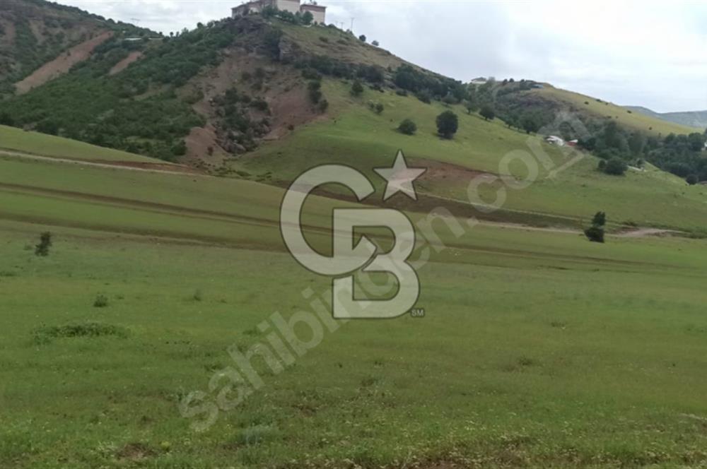 TUNCELİ DE MÜKEMMEL KONUM ARSA FIRSATI