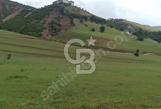 TUNCELİ DE MÜKEMMEL KONUM ARSA FIRSATI