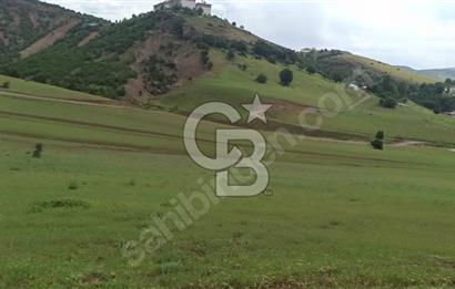 TUNCELİ DE MÜKEMMEL KONUM ARSA FIRSATI