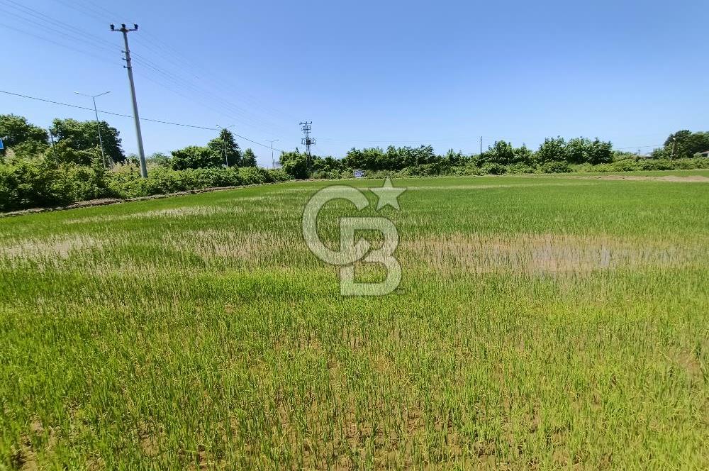 CB PARK'DAN YATIRIM VE SANAYİ İÇİN FIRSAT TARLA 
