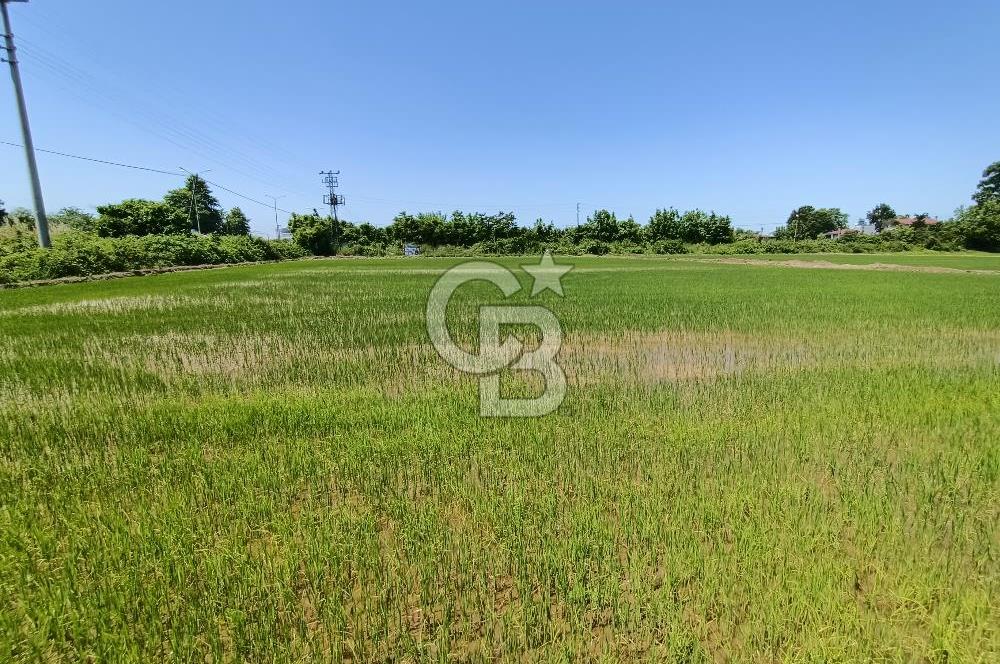 CB PARK'DAN YATIRIM VE SANAYİ İÇİN FIRSAT TARLA 