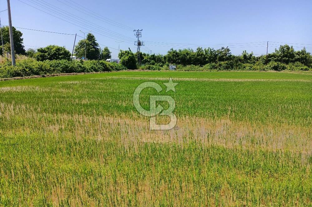 CB PARK'DAN YATIRIM VE SANAYİ İÇİN FIRSAT TARLA 