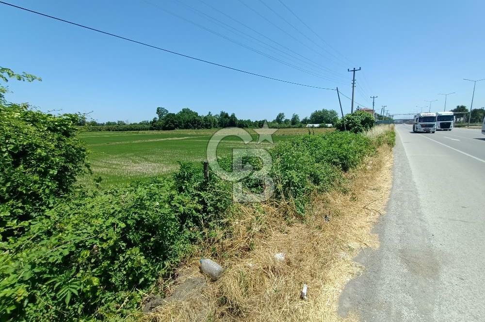 CB PARK'DAN YATIRIM VE SANAYİ İÇİN FIRSAT TARLA 