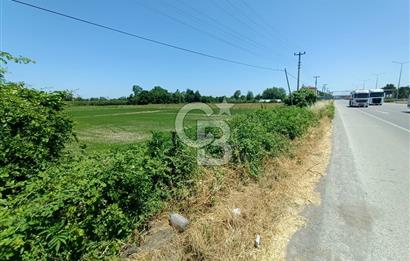CB PARK'DAN YATIRIM VE SANAYİ İÇİN FIRSAT TARLA 