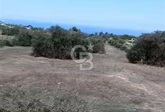 KKTC İSKELE SİPAHİ KÖYÜNDE DENİZE YAKIN SATILIK ARSA