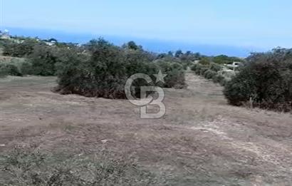 KKTC İSKELE SİPAHİ KÖYÜNDE DENİZE YAKIN SATILIK ARSA