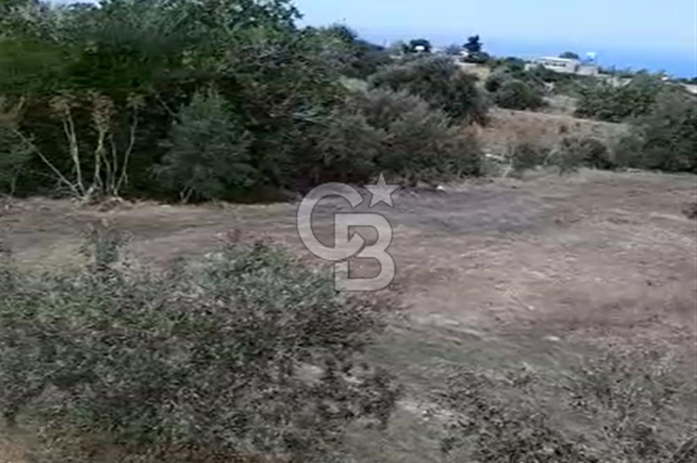 KKTC İSKELE SİPAHİ KÖYÜNDE DENİZE YAKIN SATILIK ARSA