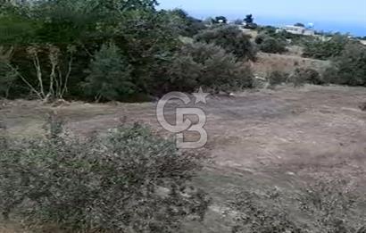KKTC İSKELE SİPAHİ KÖYÜNDE DENİZE YAKIN SATILIK ARSA