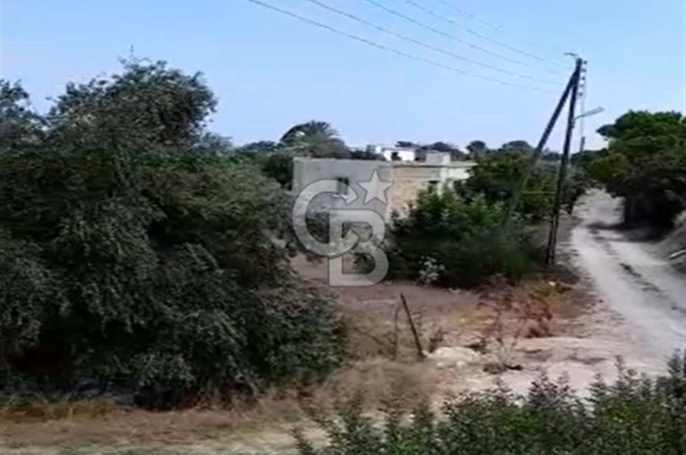 KKTC İSKELE SİPAHİ KÖYÜNDE DENİZE YAKIN SATILIK ARSA