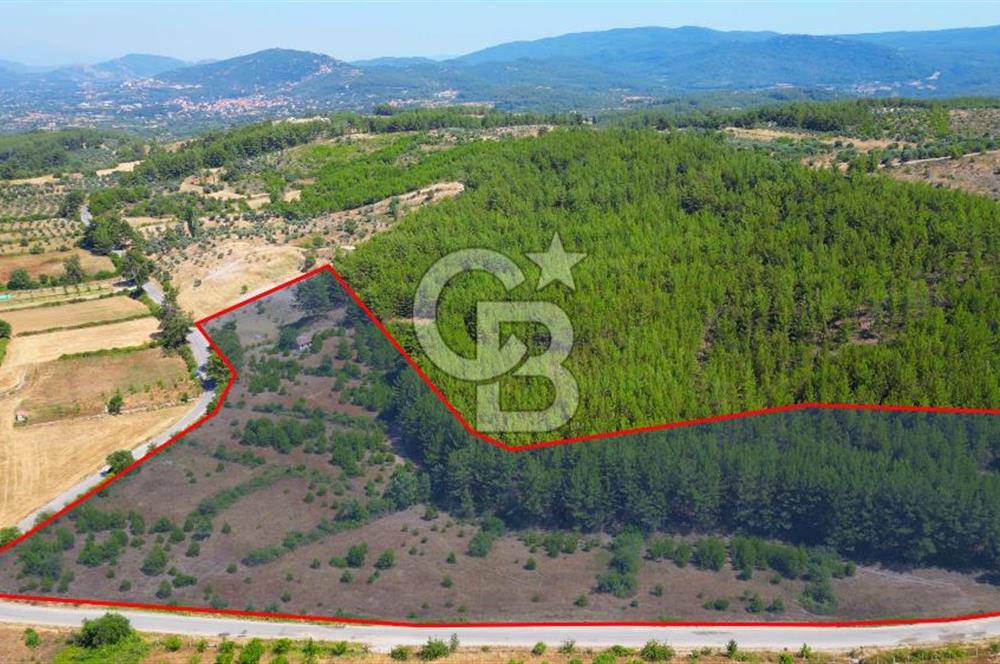Muğla  Yerkesik de 27.000 metre² arazi