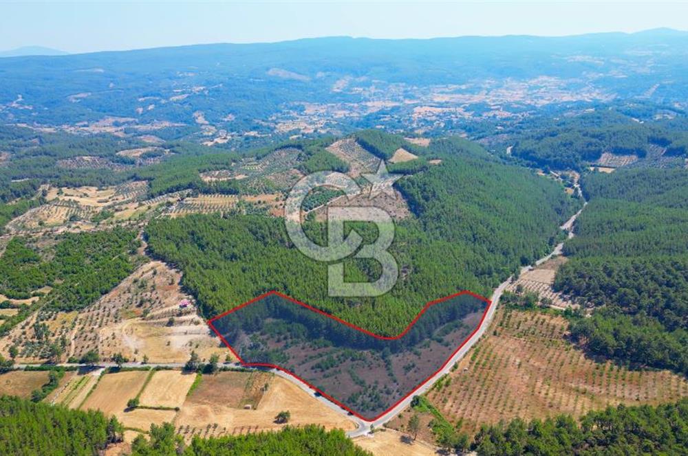 Muğla  Yerkesik de 27.000 metre² arazi
