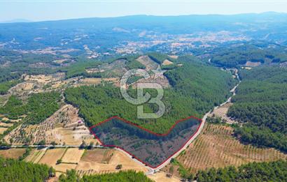Muğla  Yerkesik de 27.000 metre² arazi