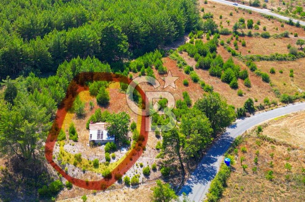 Muğla  Yerkesik de 27.000 metre² arazi