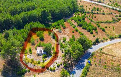 Muğla  Yerkesik de 27.000 metre² arazi