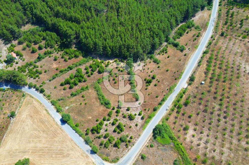 Muğla  Yerkesik de 27.000 metre² arazi