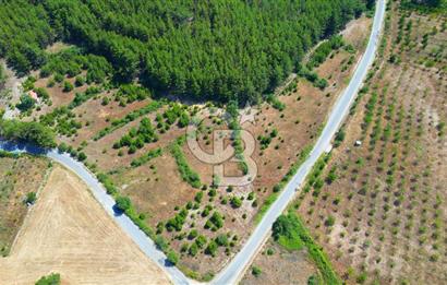 Muğla  Yerkesik de 27.000 metre² arazi