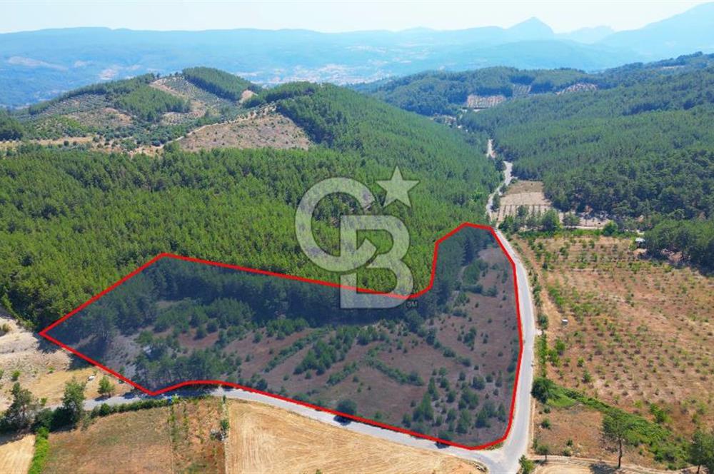 Muğla  Yerkesik de 27.000 metre² arazi