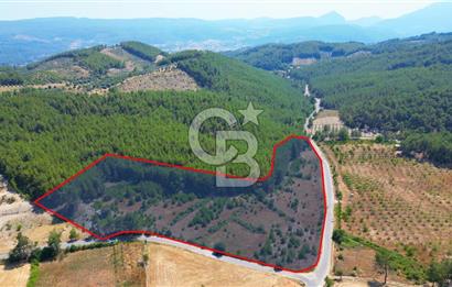 Muğla  Yerkesik de 27.000 metre² arazi