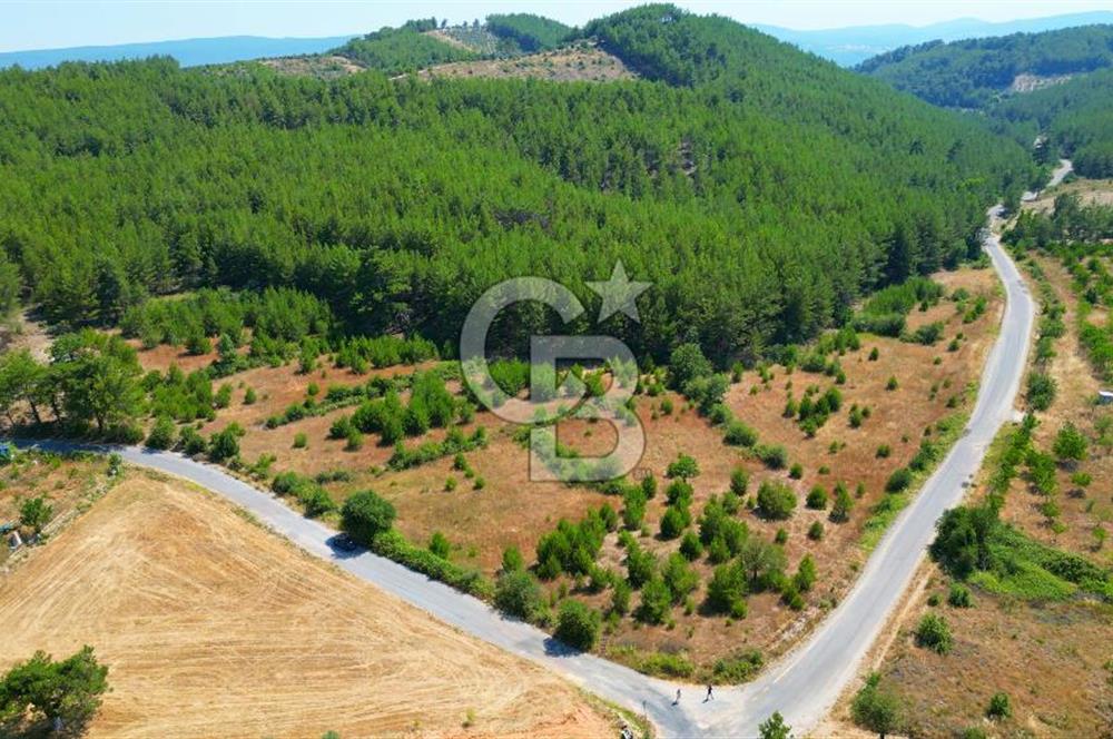 Muğla  Yerkesik de 27.000 metre² arazi