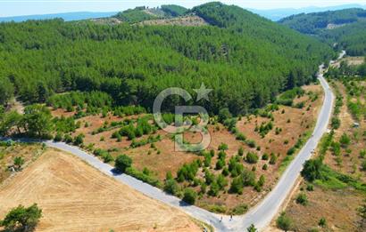 Muğla  Yerkesik de 27.000 metre² arazi