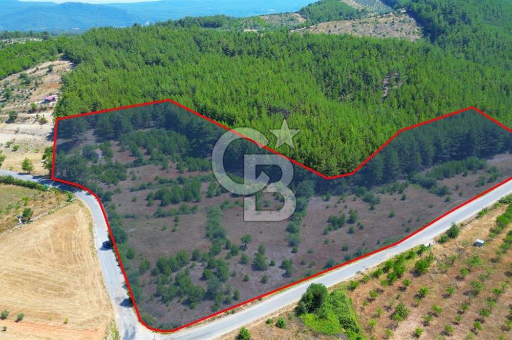 Muğla  Yerkesik de 27.000 metre² arazi